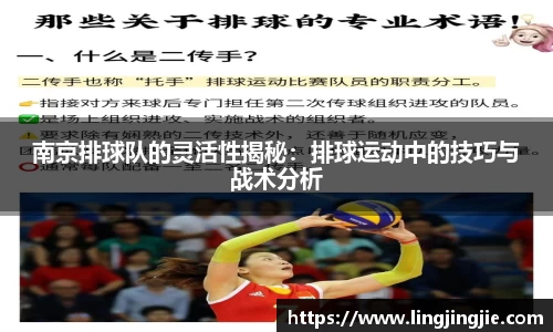 南京排球队的灵活性揭秘：排球运动中的技巧与战术分析